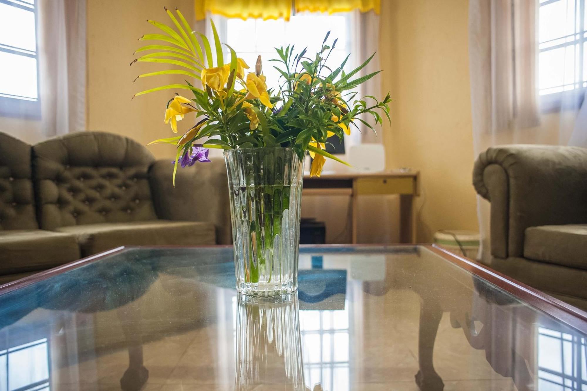 Clarridge View Guesthouse 蒙特哥贝 外观 照片
